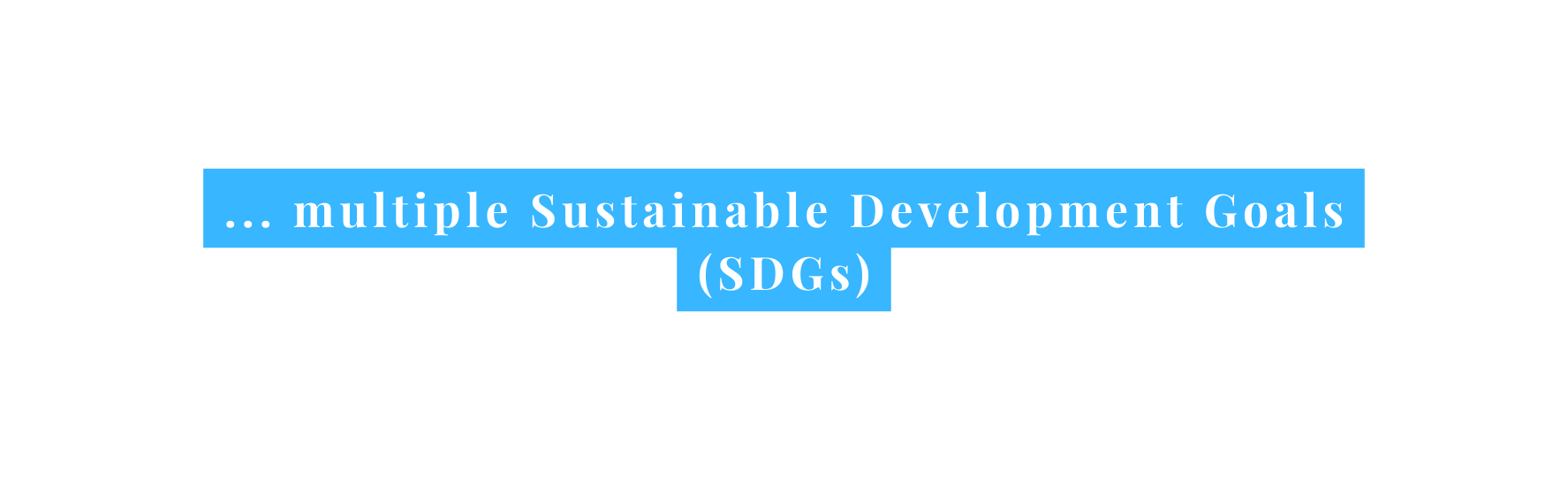 multiple Sustainable Development Goals SDGs